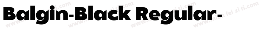 Balgin-Black Regular字体转换
